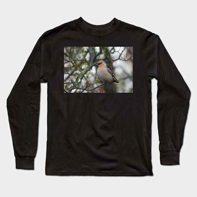 Waxwing Long Sleeve T-Shirt by a-photo